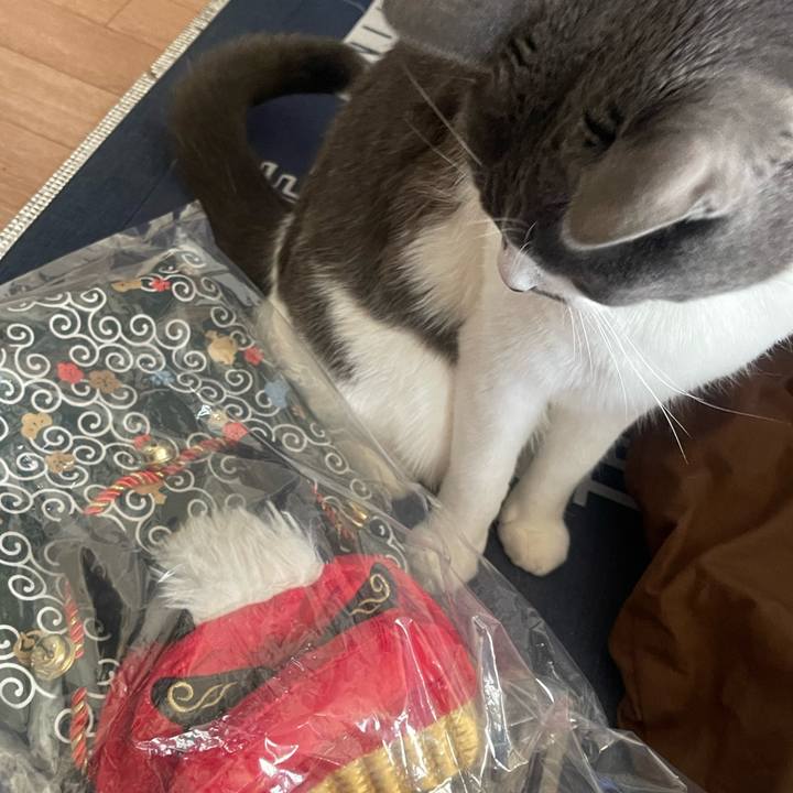 8b6596a6 ec25 46f9 a8d0 02dd146fc310 1700901468541