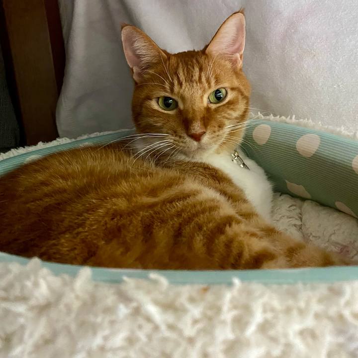 8b65d6c4 e39b 4105 bcda 4b2d2f262504 1732870203992