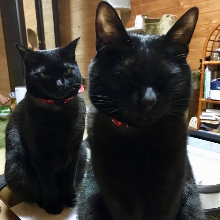 8b65ee44 367d 4045 9f9b 6fad3ee3eb82 1523191759434