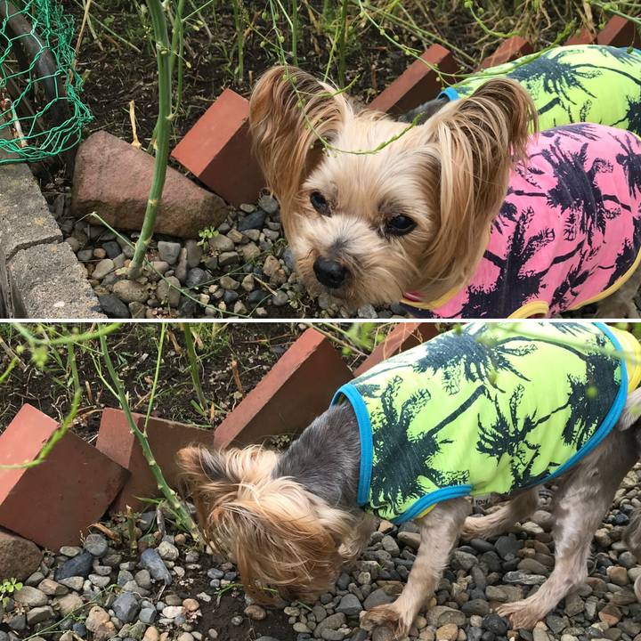 8b65f623 7f41 4205 9409 a26b8df58742 1624358783701