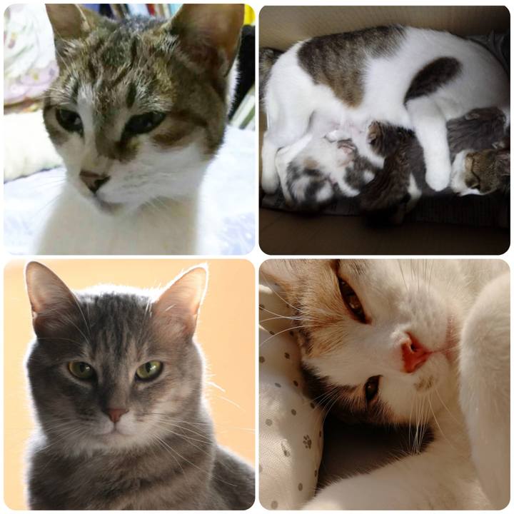 8b663428 ba04 447f 9573 3a7c2bfd10c7 1557656814439