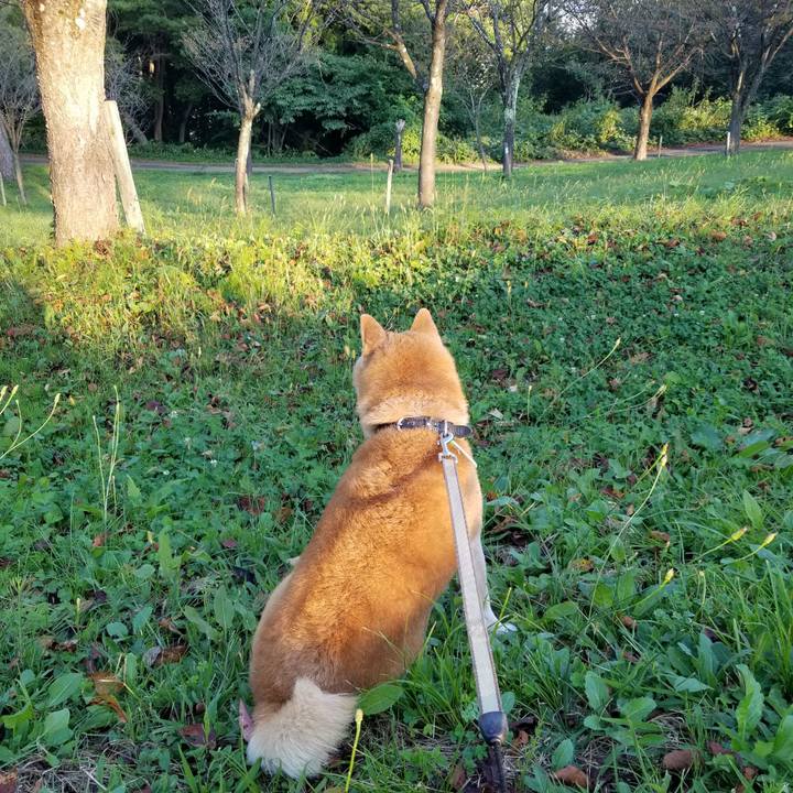 8b6681ac 1170 4941 8f8c d6111cc068c6 1664609399190