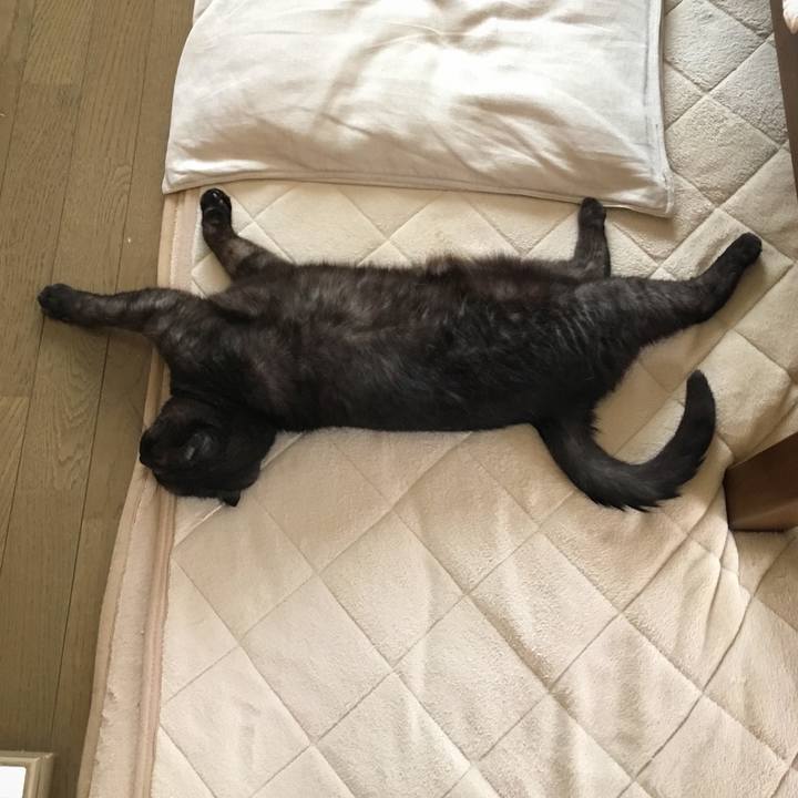 8b669697 5037 43ad 93be e639e1362036 1530172151517