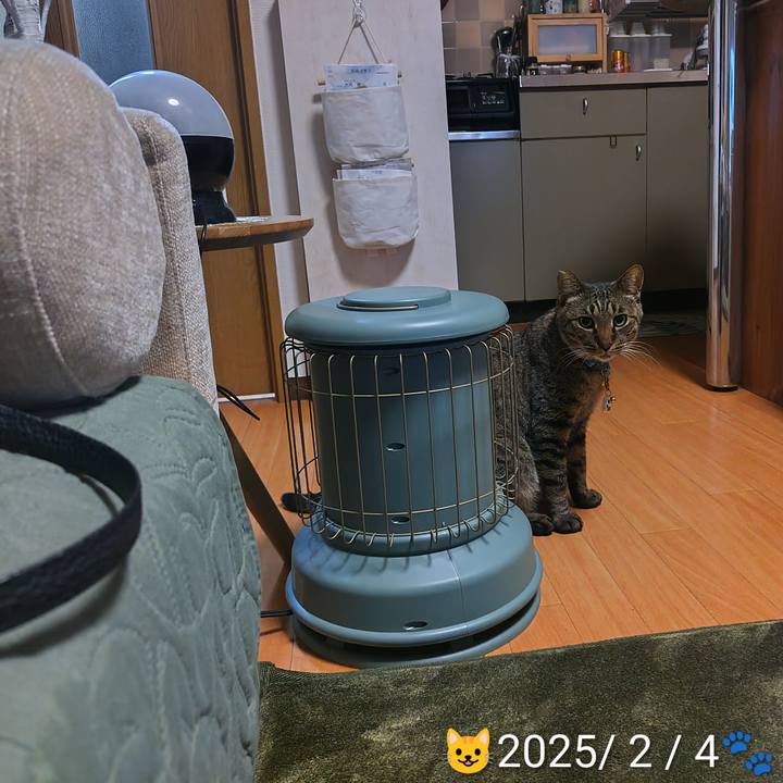 8b66afc2 54e3 45f1 bf5e 70c237a8682c 1775217757918