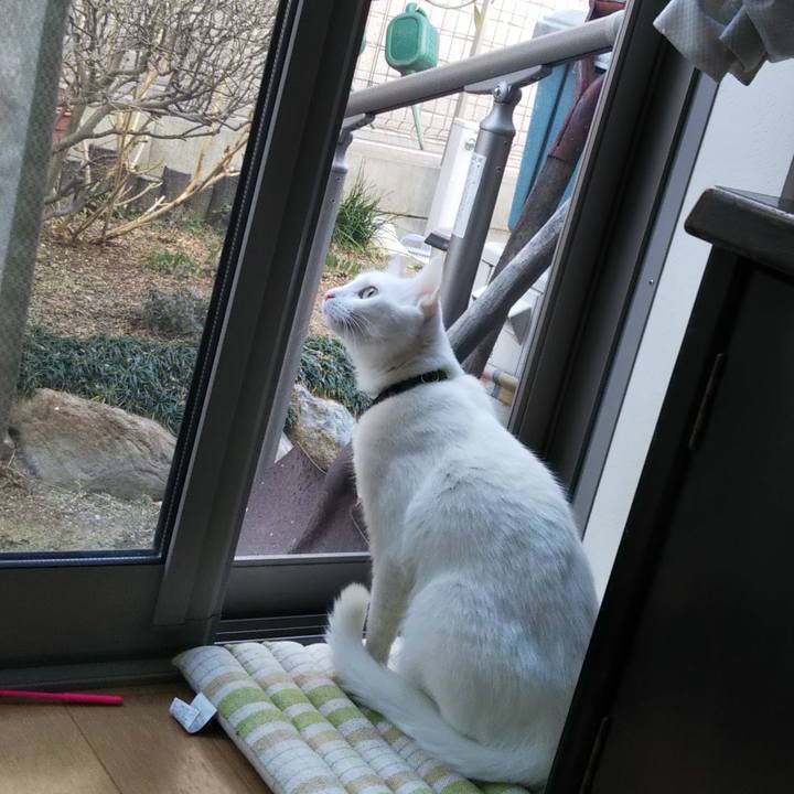 8b671be3 cfa5 4948 b45c df5e63f47c75 1646020429090