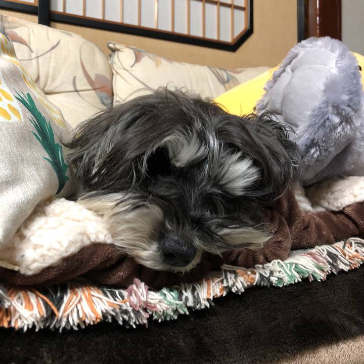 8b675e26 defe 47e8 bd69 088493146288 1520686401598