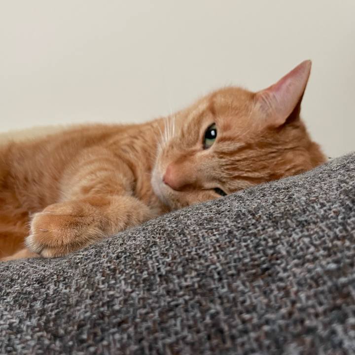 8b678236 960d 4b53 bc33 5df672fa1435 1649287200503