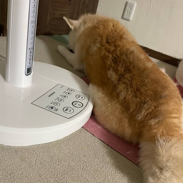 8b681195 53dc 4d93 8d87 24349b7cb4d5 1663495384070