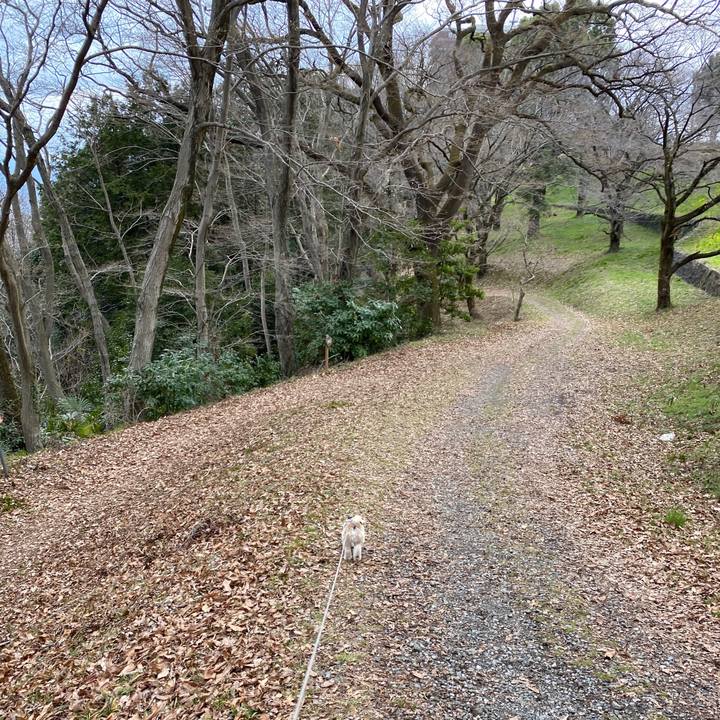 8b681854 c77f 4a5d b76f 805b61631158 1582965081206