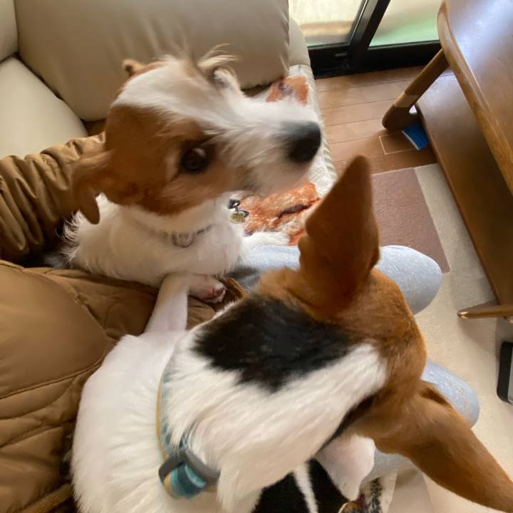 8b684c86 c6a0 4146 a7a0 713216774aec 1772934814733