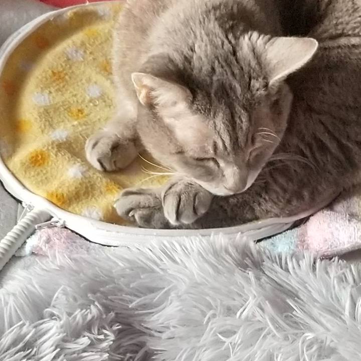 8b6851f5 33e4 4512 88af 11433103b09c 1666918350629