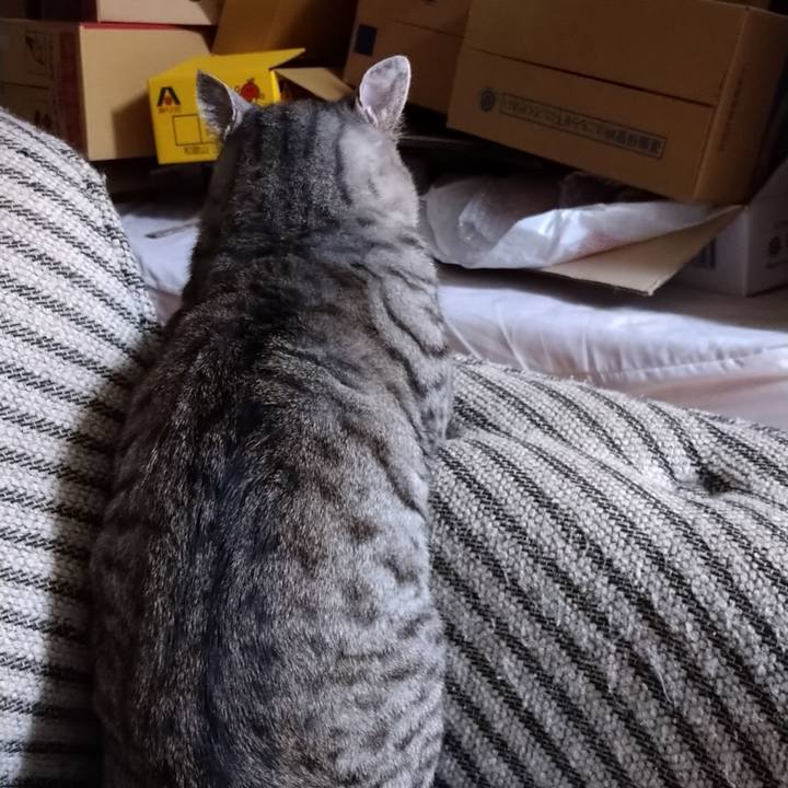 8b686e2d b6b1 4613 8b72 9d7d1519e84c 1663243442963