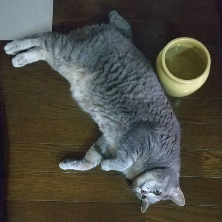 8b6870ca 6846 478f 8334 f5240c05ccd6 1655716434729