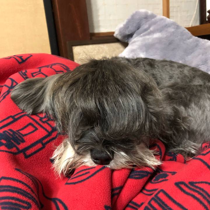 8b687c6f 915a 4653 8549 0e482e436922 1543150778273