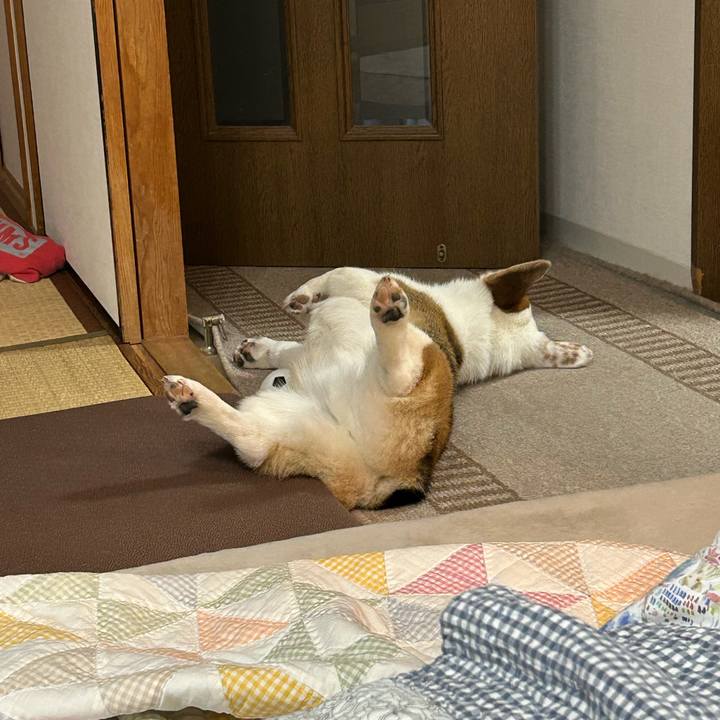 8b68d6be be34 46bc 873a 2b85a89ca602 1772545999669