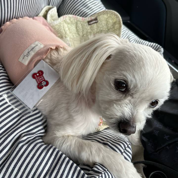 8b68ebe3 2e41 42b4 b675 48812cbfdb04 1679542167568