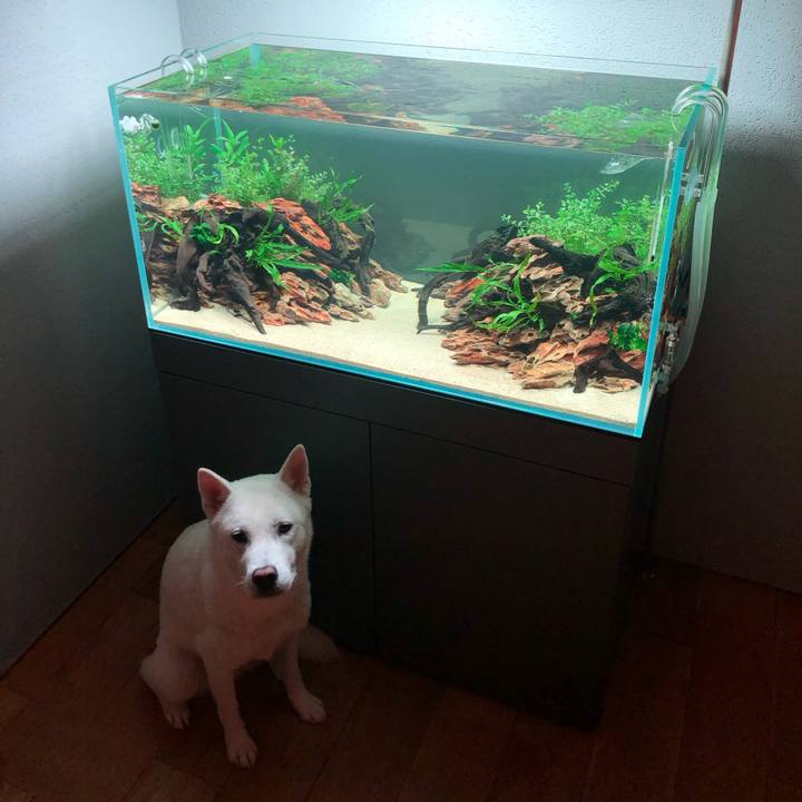 8b68ee8a 4777 4445 a962 acac7c5108ce 1563285023994