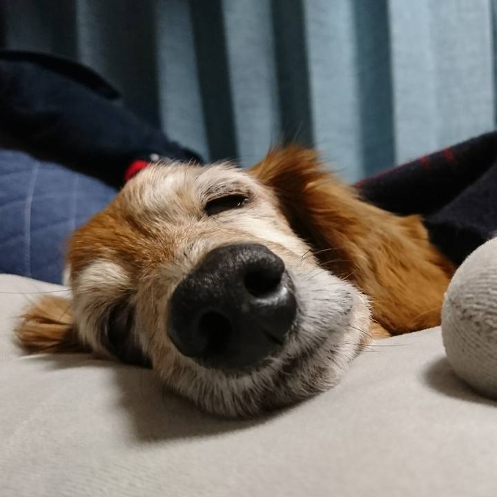 8b68ffc4 1632 4168 b9c5 73ab5a4ca4bb 1517310257112