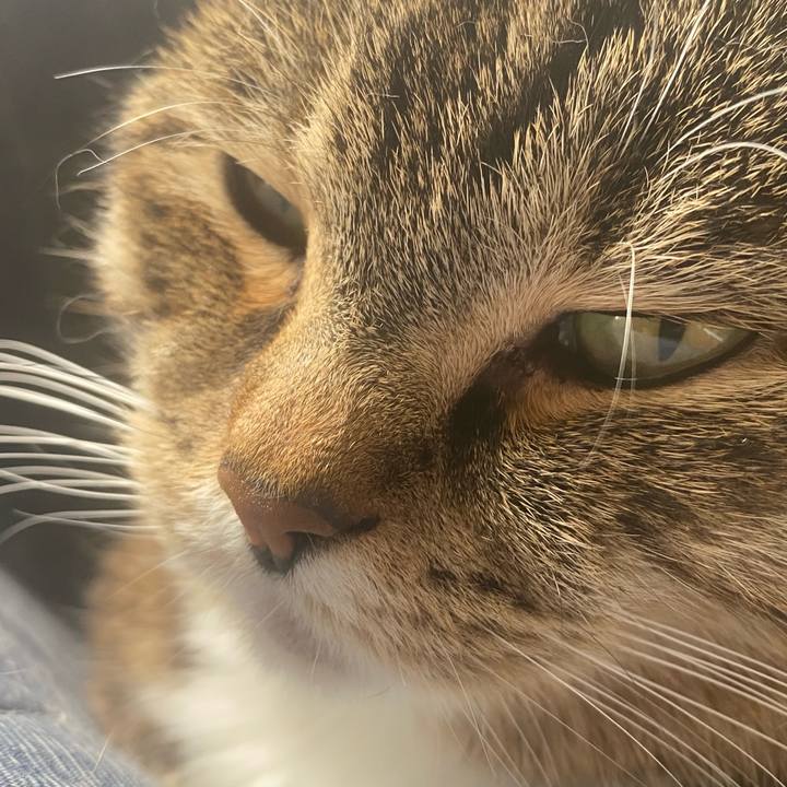 8b6905ec 613a 4859 8c53 5371f67cd07a 1744249492212