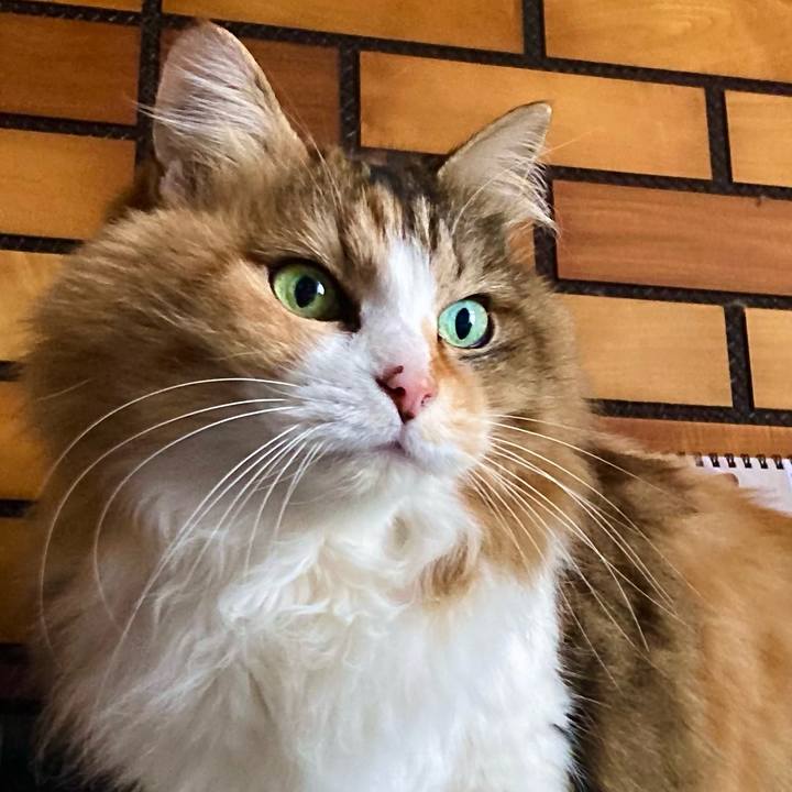 8b691100 dece 47c8 9925 49380b02bb93 1678925823620