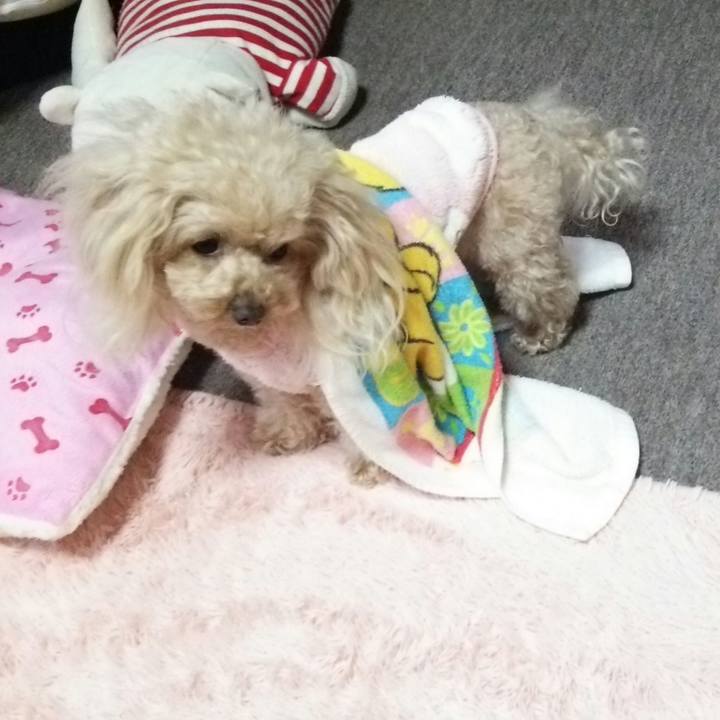 8b691b58 6cd0 4ee4 bfd0 87996a73c31f 1549454889453