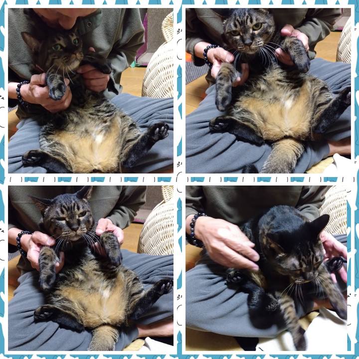 8b691e8e 8429 47db a065 aa147e6cf85e 1769004077268