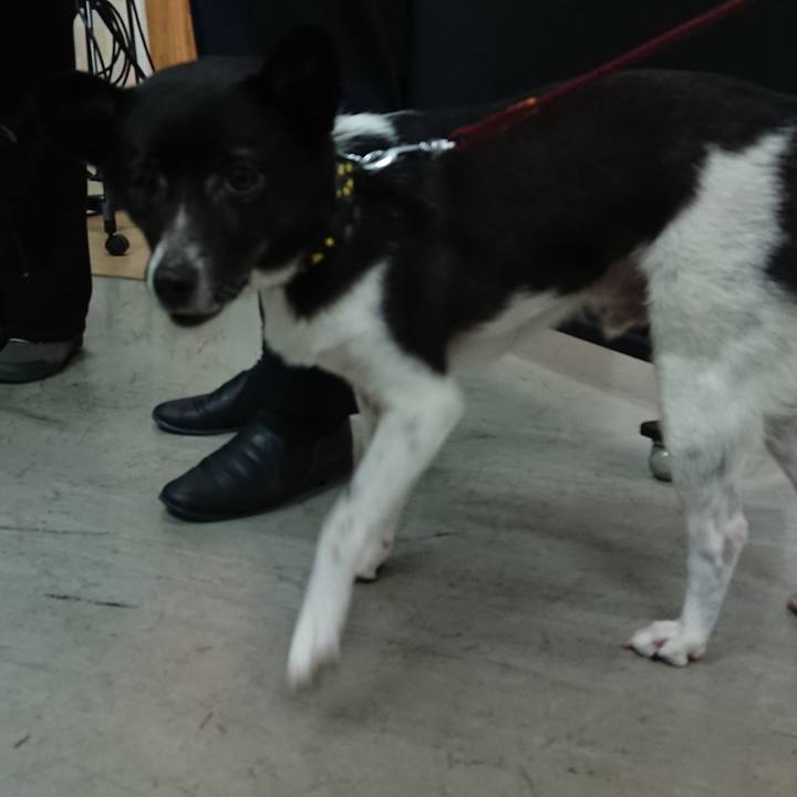 8b6921fa 8775 4f56 9a32 23d694d0143b 1523431760165