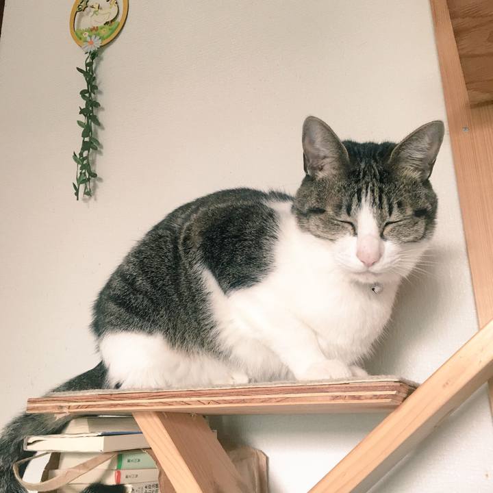 8b6957e6 0905 4de0 8d66 12ec0e698a4c 1543449834401