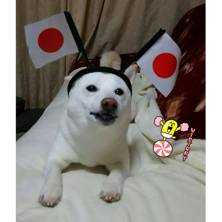 8b698419 365a 4c67 a034 f279262f17e1 1518259394686