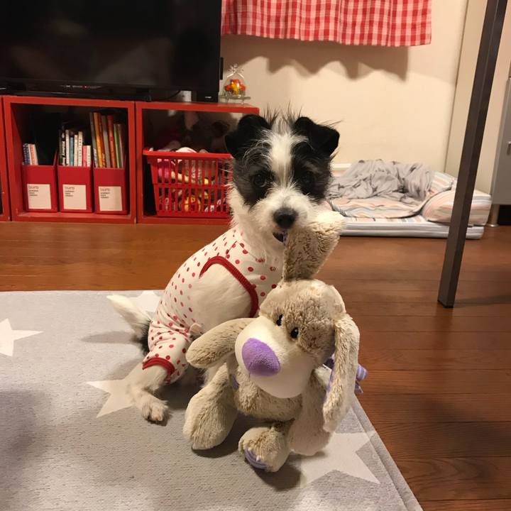 8b69ab3f 5b7a 4832 b270 779c4e3e76bd 1529158027478