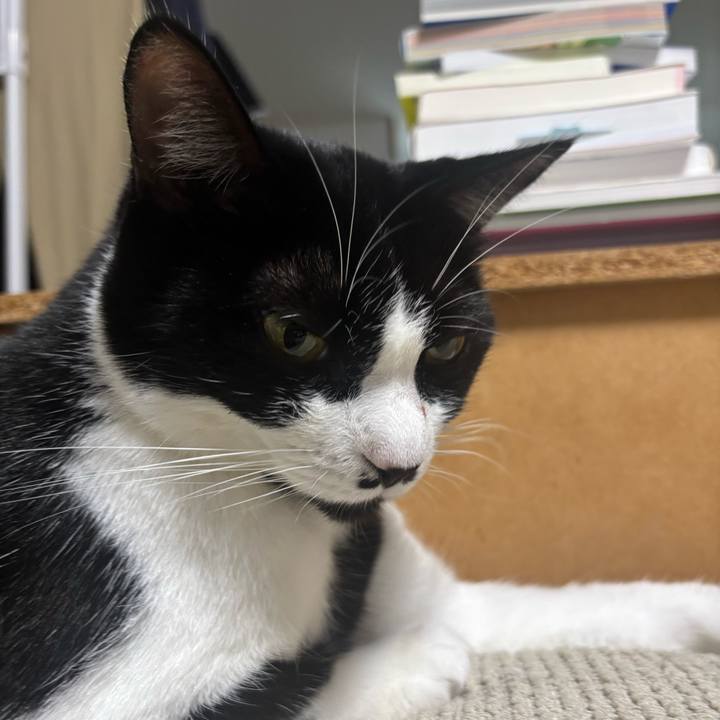 8b69d968 b334 491c 9b8d 3eea55c777cd 1761183431301