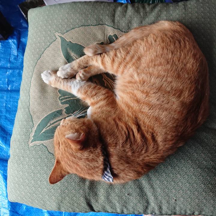 8b69f4e8 907b 4388 ba67 9d1a25f7982b 1570253072147