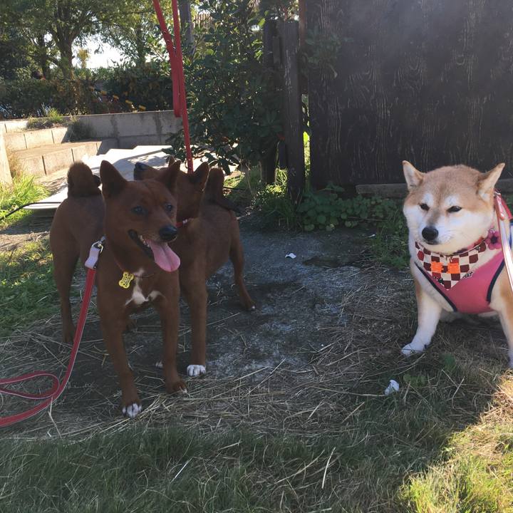 8b6a1a4a 26cc 40fc ad0b 0f821b263046 1573918104074