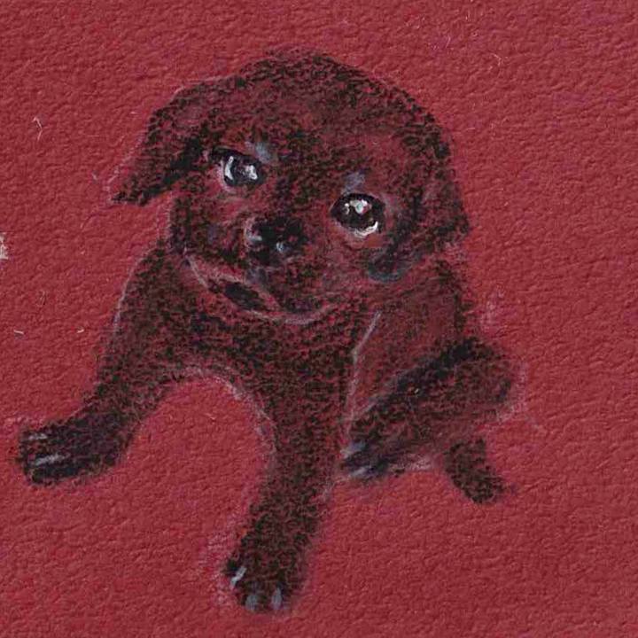 8b6a2514 f555 494d a216 4af7a191fab5 1628994880137