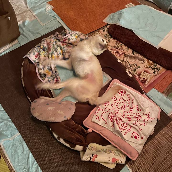 8b6a2e5b 2fad 46aa ab75 f81c0604006f 1675866110834