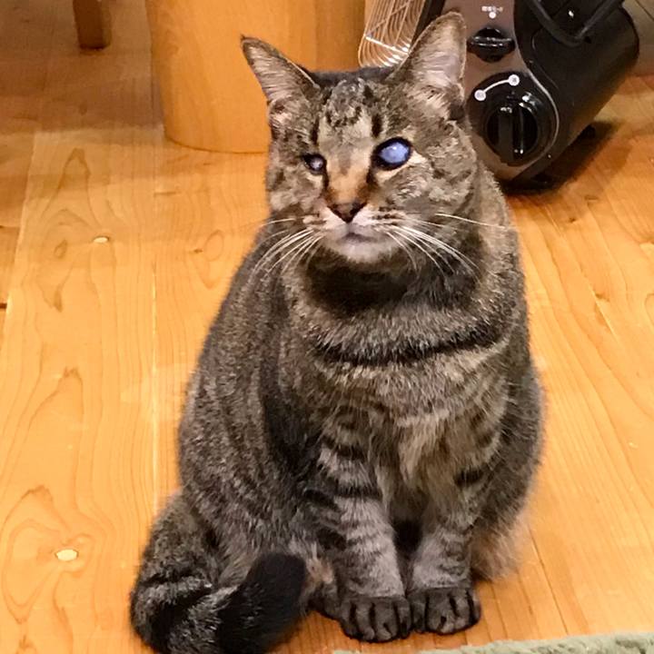 8b6a4122 bdb1 4384 a4b2 5df4b9efb467 1611013350072