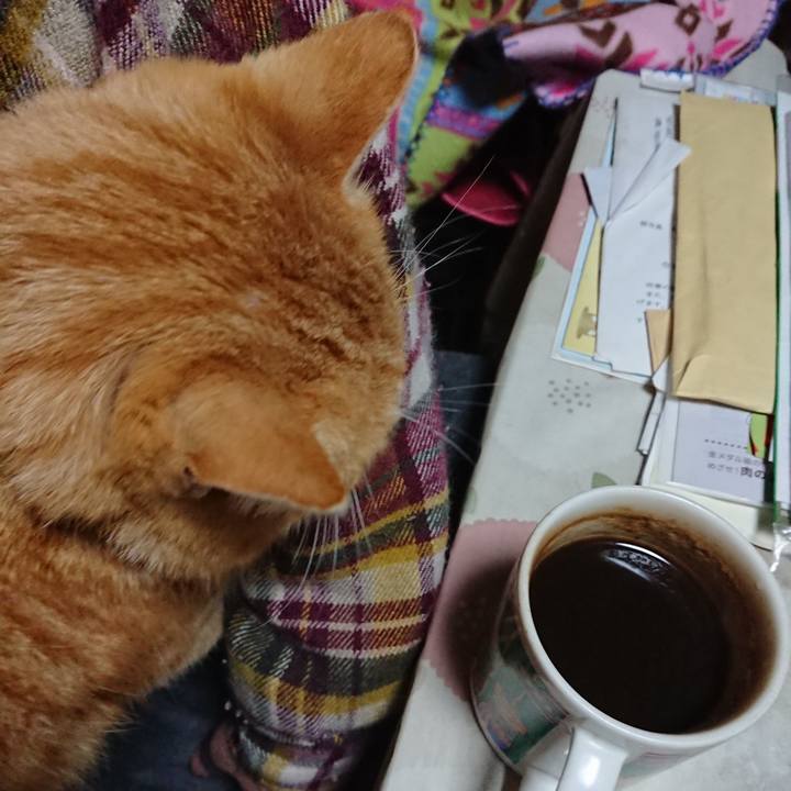 8b6a55d5 45e0 4bfa bf88 edf921d1a73a 1584736486361