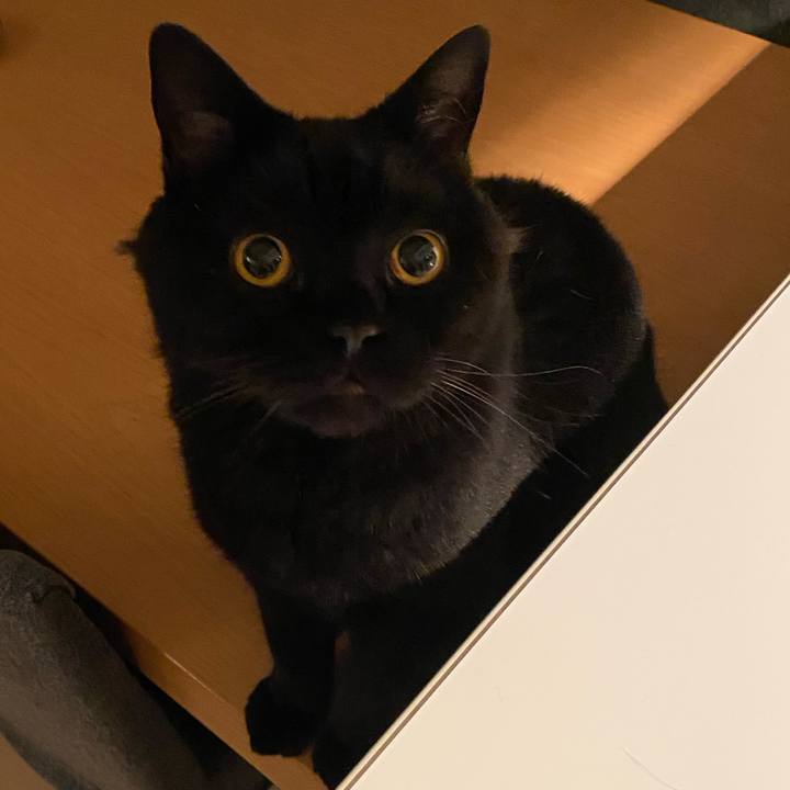 8b6adc4f ab92 405b a126 4b519ed79ca5 1751202294213