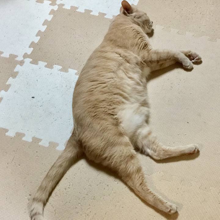 8b6ae9ee 798f 4691 8a7b 027319fbd947 1535022232690