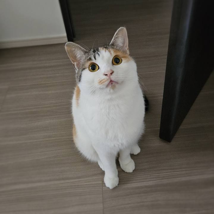 8b6afdca 36e4 4c8b a374 294c7465b780 1768109717931