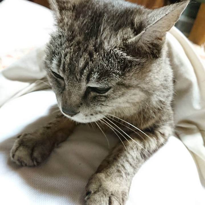 8b6b5fb0 7e75 47f4 9129 760487ff900f 1562332386722