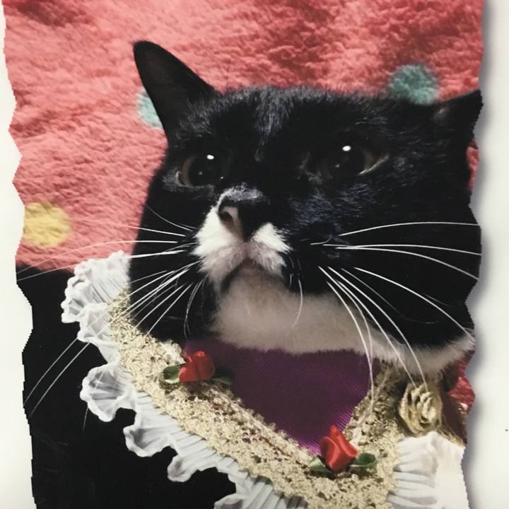 8b6b7af5 d00f 4e42 b99b 282c1cfcc176 1645323410428