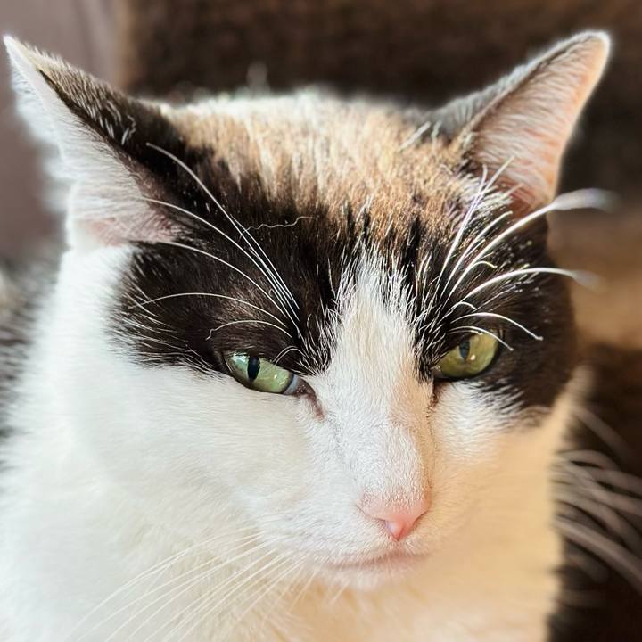 8b6bd0ed 6f73 4898 a5f9 b0fa3ca11d5d 1710812146101