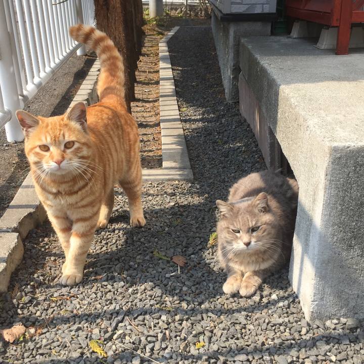 8b6bf513 0793 4954 8b48 6abfbc9b6a43 1511688796739