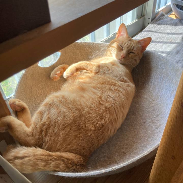 8b6c905a 08b9 44d2 913f e6f850f01700 1712963931274