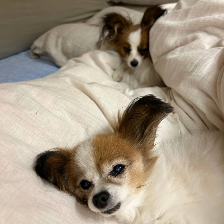 8b6c965d f269 462a 8c13 aa94b5bdd58a 1666909632300