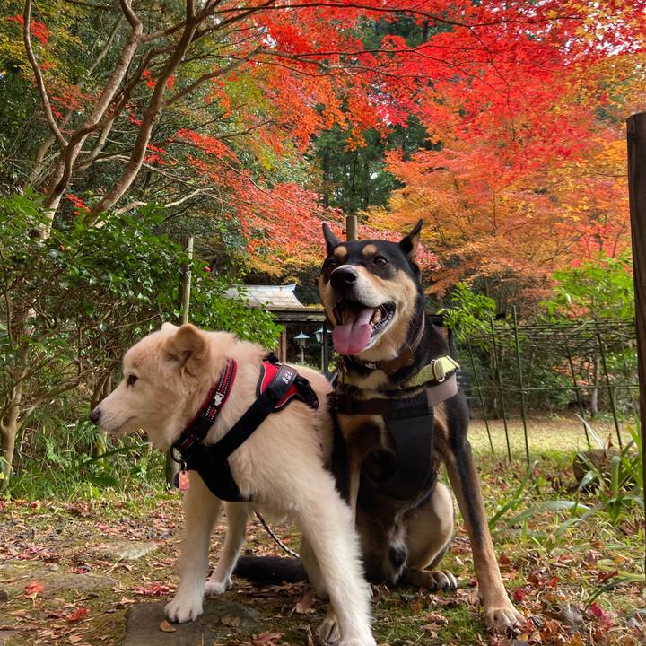 8b6cd181 2eae 492a b63a 597d53070508 1700877311814