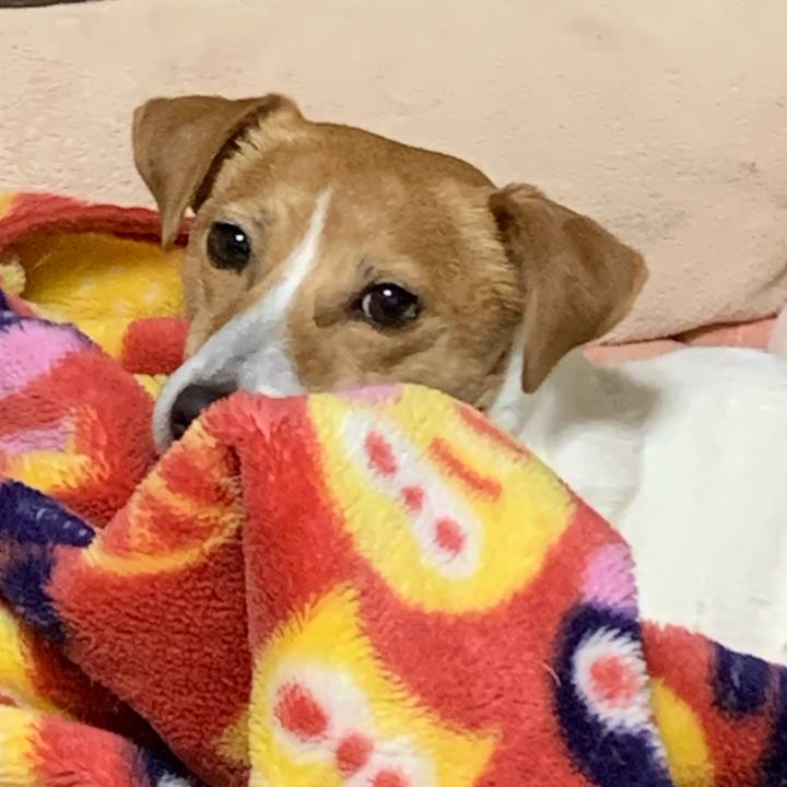 8b6cd4d8 0ff6 48f7 a139 649abea9b331 1581159141917