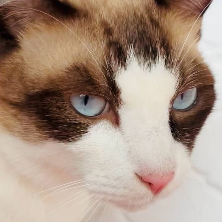 8b6ce846 c83d 45e2 8062 1d753378a8cb 1758334990891