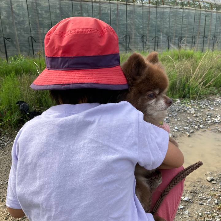 8b6d40e8 a45f 413e 8e95 56f2d9d939bb 1664224853221